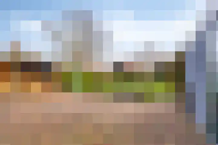 Sjaerdawei 21 Oppenhuizen thumbnail 29