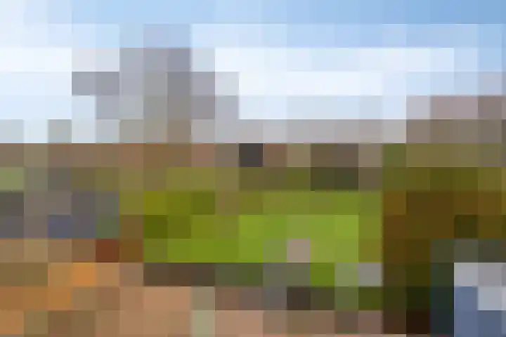 Sjaerdawei 21 Oppenhuizen thumbnail 32