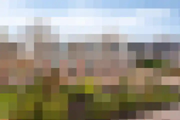 Sjaerdawei 21 Oppenhuizen thumbnail 4