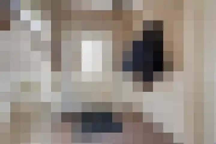 Sjaerdawei 21 Oppenhuizen thumbnail 6