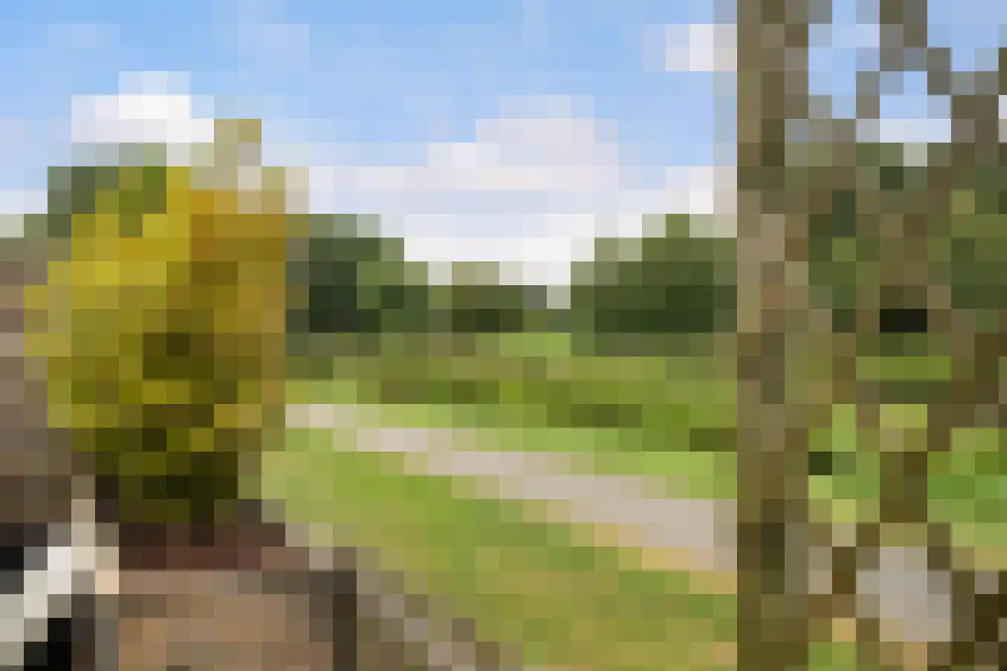 Sjaerdemaslot 15 Leeuwarden thumbnail 34