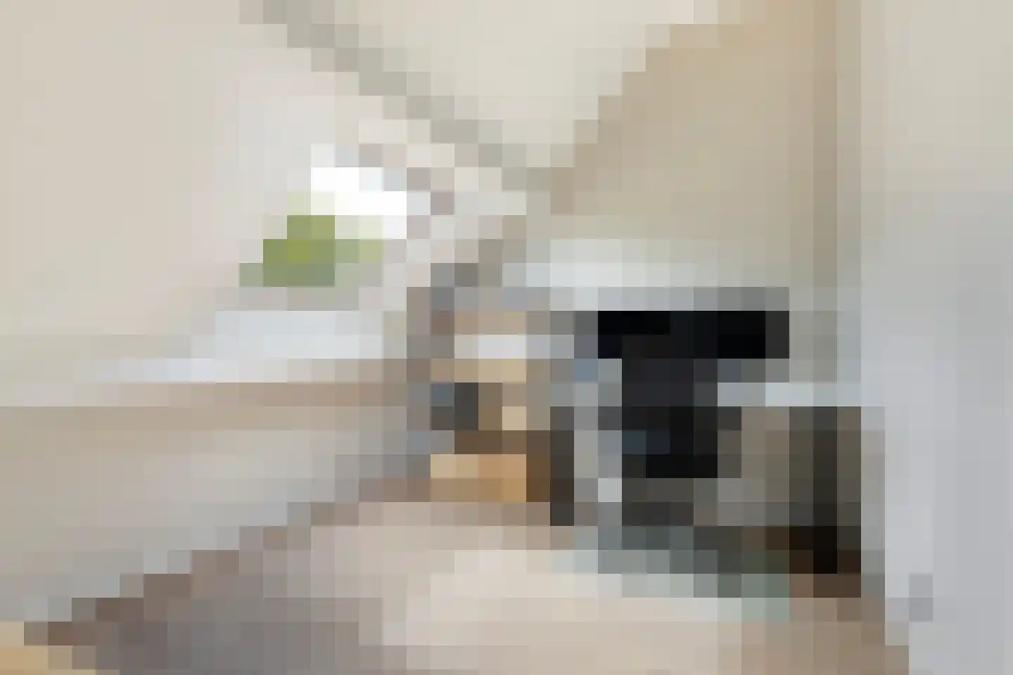Sjaerdemaslot 15 Leeuwarden thumbnail 64