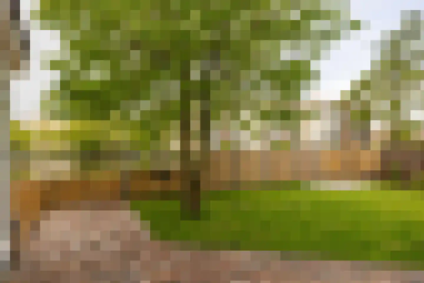 Sjaerdemaslot 21 Leeuwarden thumbnail 44