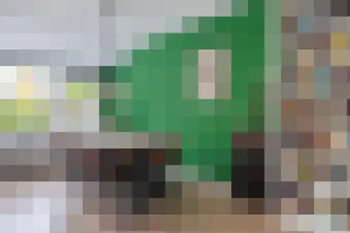 Sjaerdemaslot 27 Leeuwarden thumbnail 18