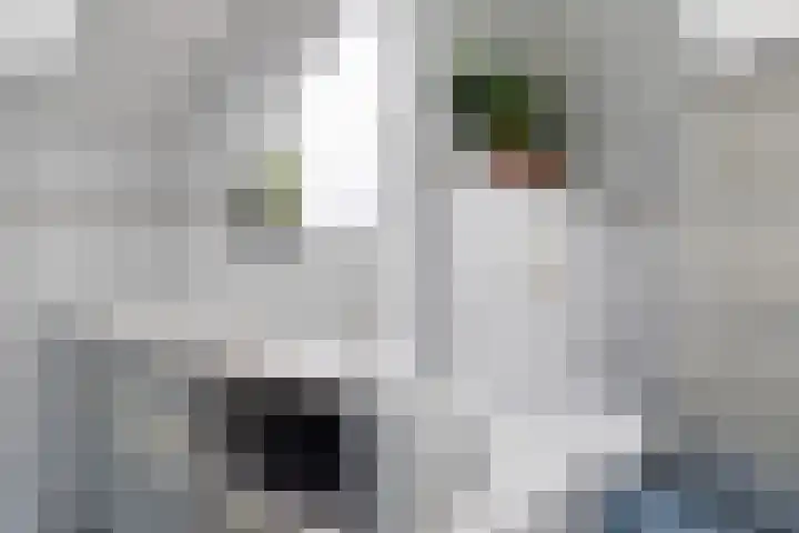 Sjaerdemaslot 27 Leeuwarden thumbnail 32