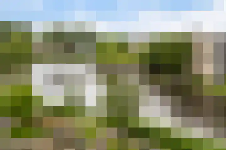 Sjaerdemaslot 27 Leeuwarden thumbnail 43