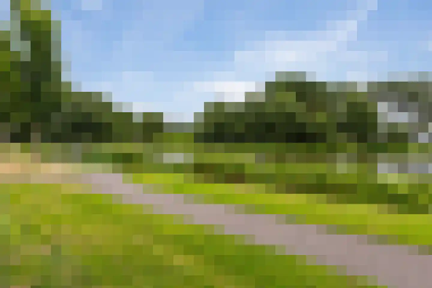 Sjaerdemaslot 9 Leeuwarden thumbnail 10