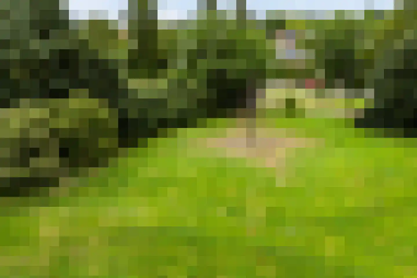 Sjaerdemaslot 9 Leeuwarden thumbnail 12