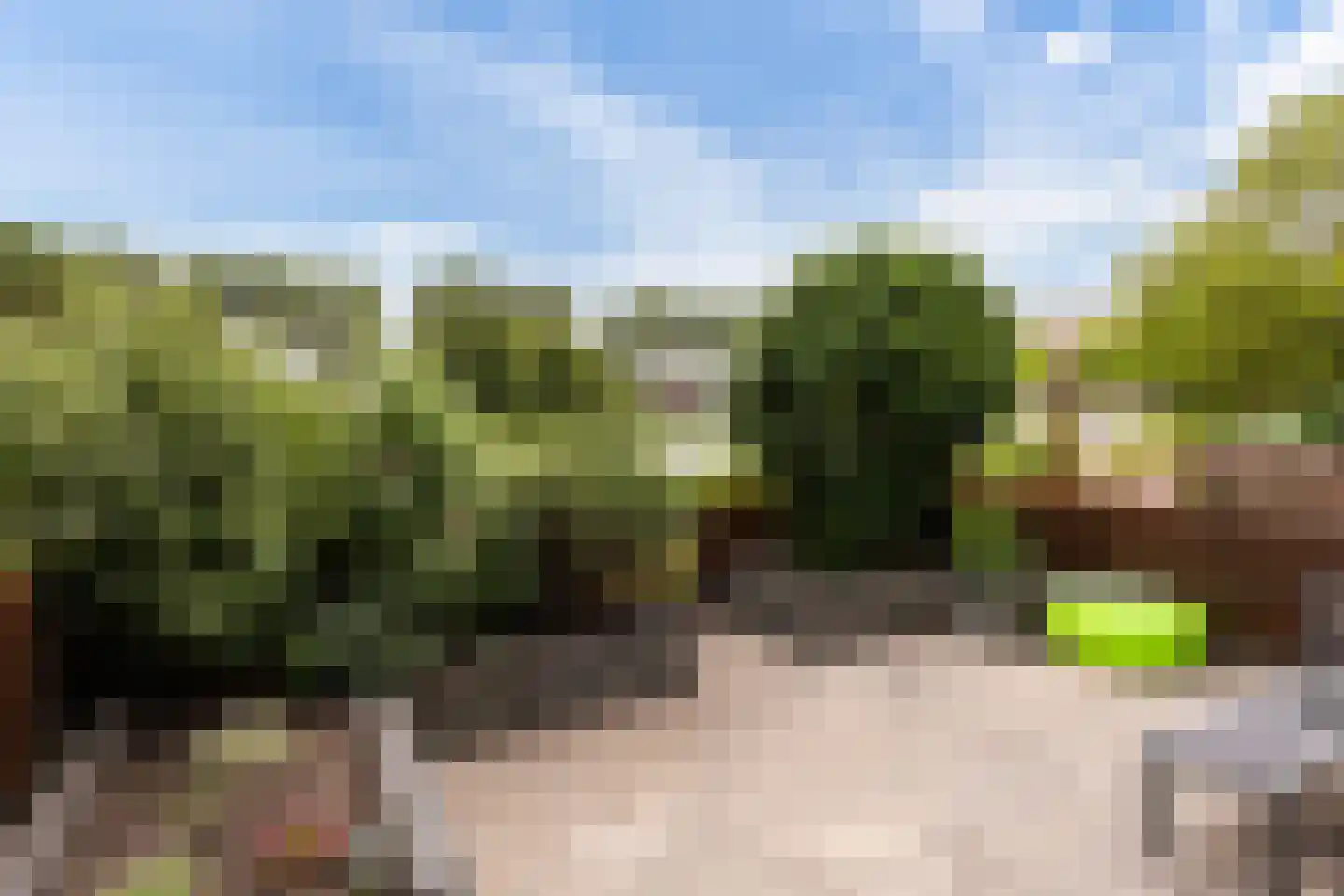 Sjaerdemaslot 9 Leeuwarden thumbnail 9