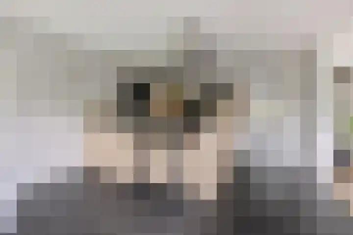 Sjallemastraat 16 Opende thumbnail 11