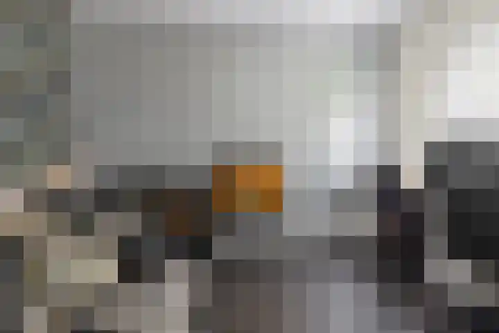 Sjallemastraat 16 Opende thumbnail 17