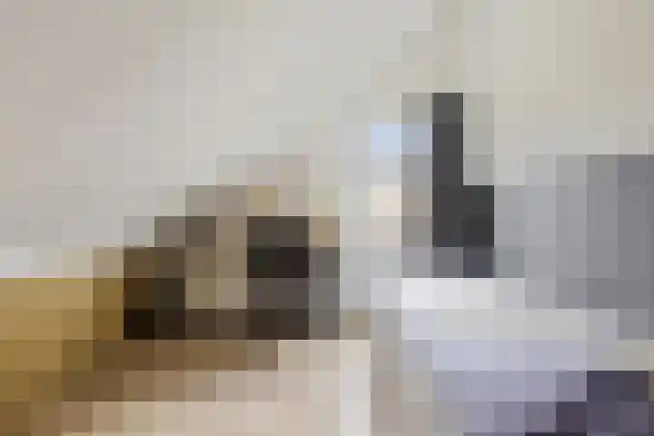 Sjallemastraat 16 Opende thumbnail 23