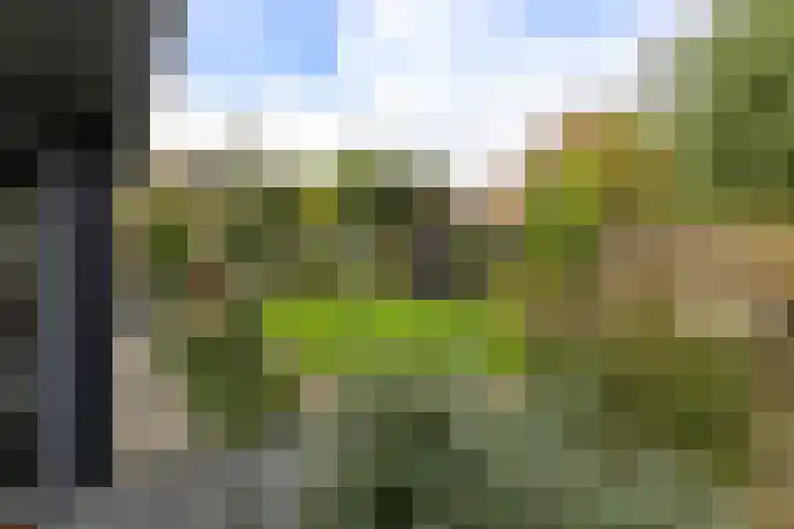 Sjallemastraat 16 Opende thumbnail 29