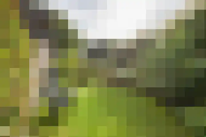 Sjallemastraat 16 Opende thumbnail 30