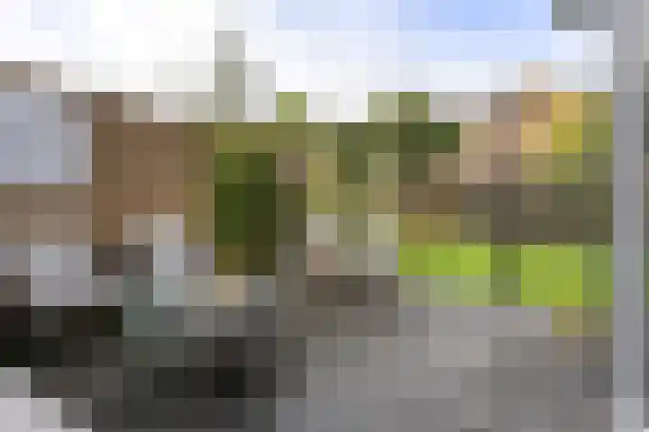 Sjallemastraat 16 Opende thumbnail 31