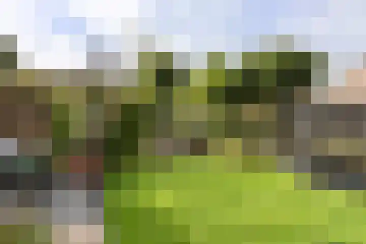 Sjallemastraat 16 Opende thumbnail 32