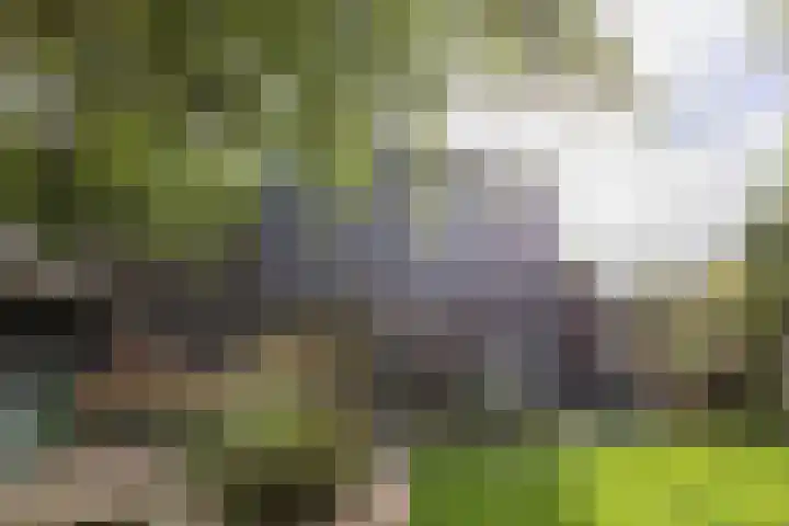 Sjallemastraat 16 Opende thumbnail 34