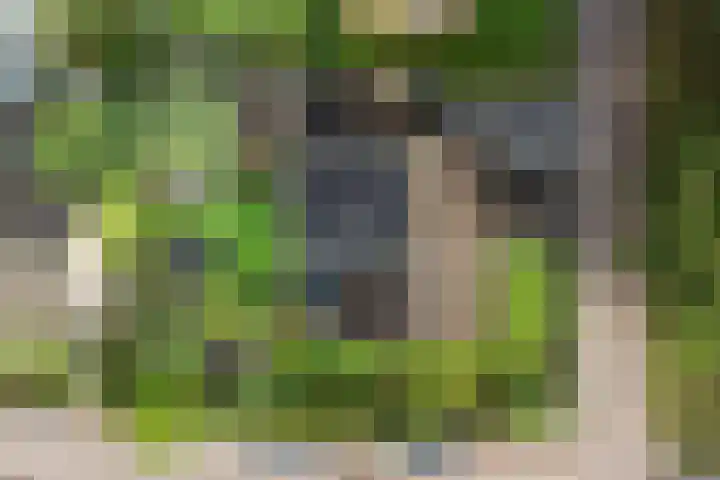 Sjallemastraat 16 Opende thumbnail 36
