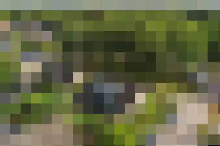 Sjallemastraat 16 Opende thumbnail 37
