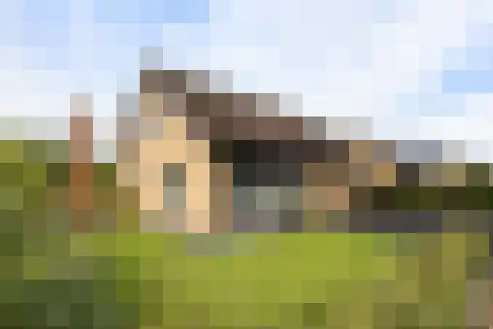 Sjallemastraat 16 Opende thumbnail 38