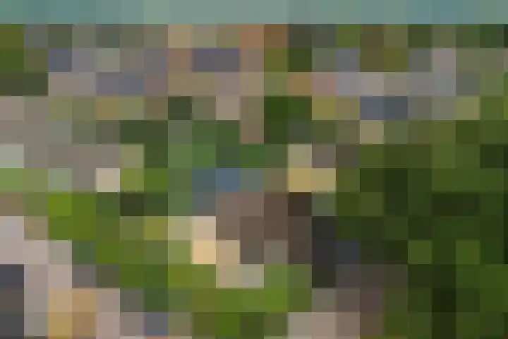 Sjallemastraat 16 Opende thumbnail 40