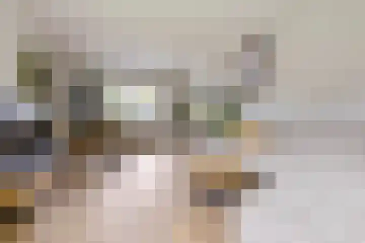 Sjallemastraat 16 Opende thumbnail 6