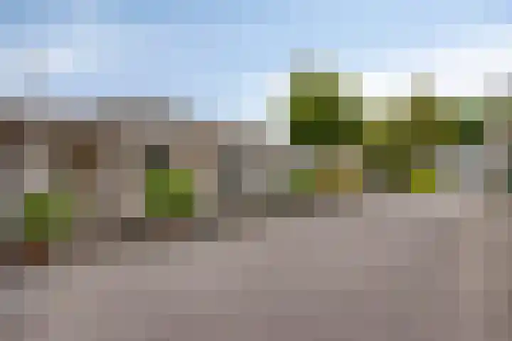 Sjalotweg 70 Eindhoven thumbnail 31