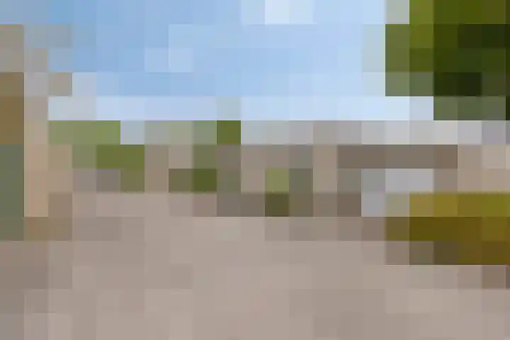 Sjalotweg 70 Eindhoven thumbnail 32
