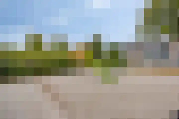 Sjalotweg 70 Eindhoven thumbnail 34