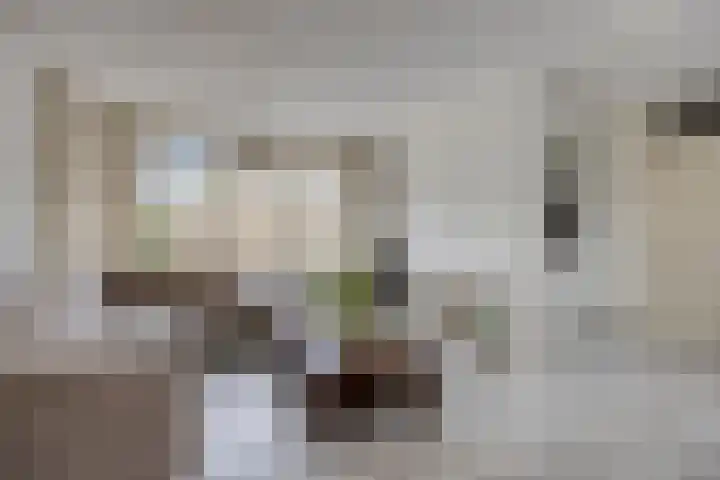 Sjalotweg 70 Eindhoven thumbnail 4