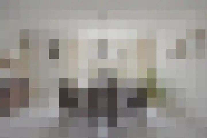 Sjalotweg 70 Eindhoven thumbnail 8