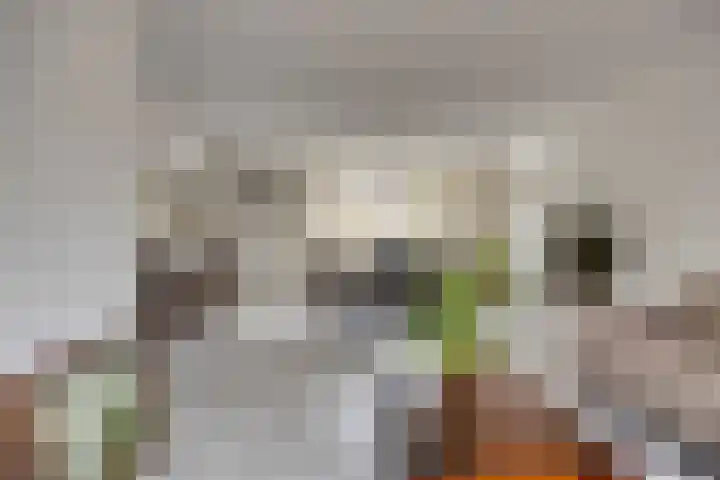 Sjalotweg 70 Eindhoven thumbnail 9