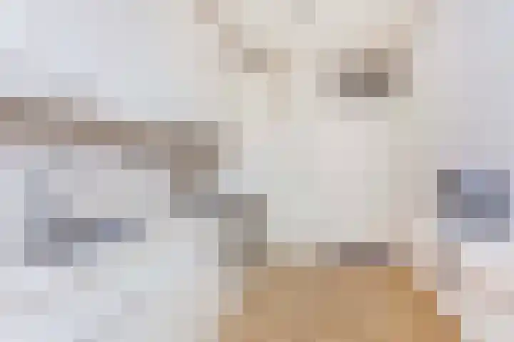 Sjanghaidreef 5 Utrecht thumbnail 13