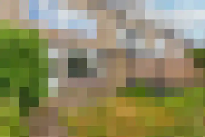 Sjanghaidreef 5 Utrecht thumbnail 17