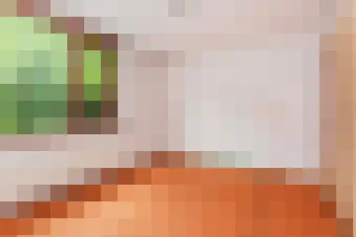 Sjanghaidreef 5 Utrecht thumbnail 24
