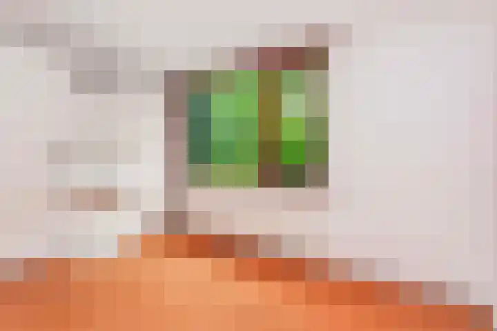 Sjanghaidreef 5 Utrecht thumbnail 25