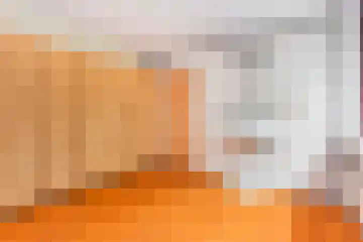 Sjanghaidreef 5 Utrecht thumbnail 26