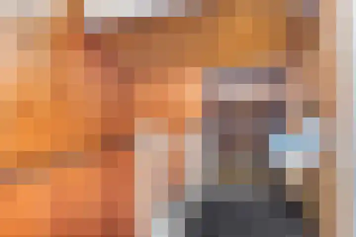 Sjanghaidreef 5 Utrecht thumbnail 29