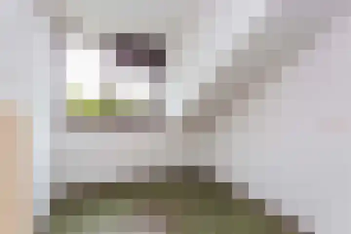 Sjanghaidreef 5 Utrecht thumbnail 30