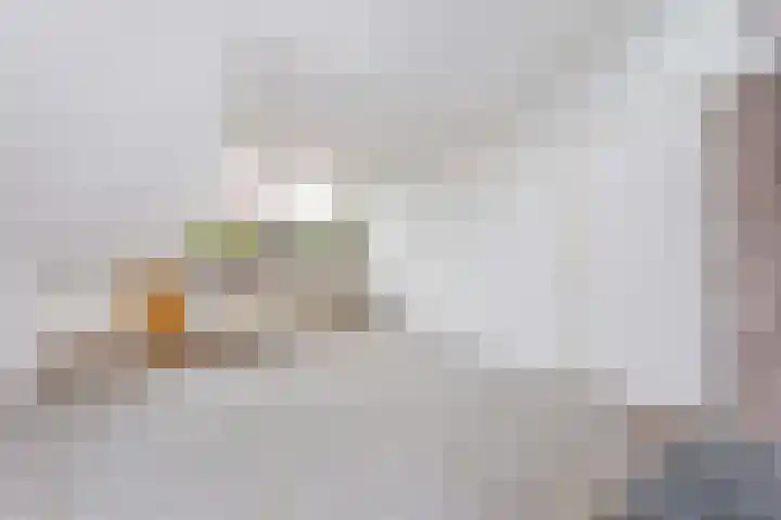 Sjanghaidreef 5 Utrecht thumbnail 32