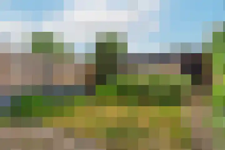 Sjanghaidreef 5 Utrecht thumbnail 4
