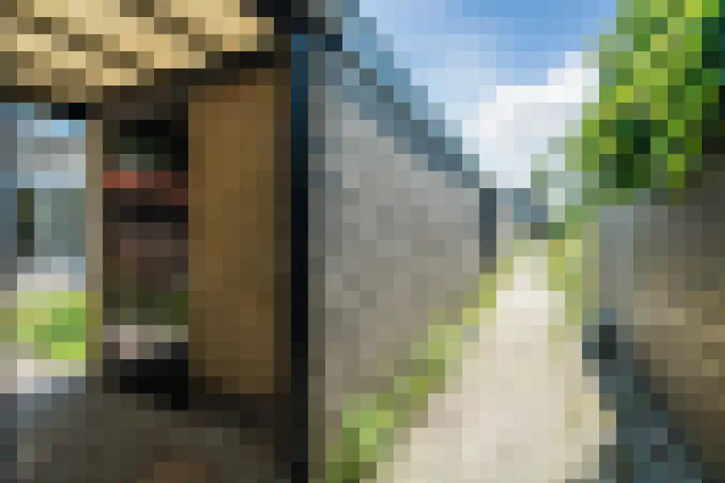 Sjanghaidreef 5 Utrecht thumbnail 40