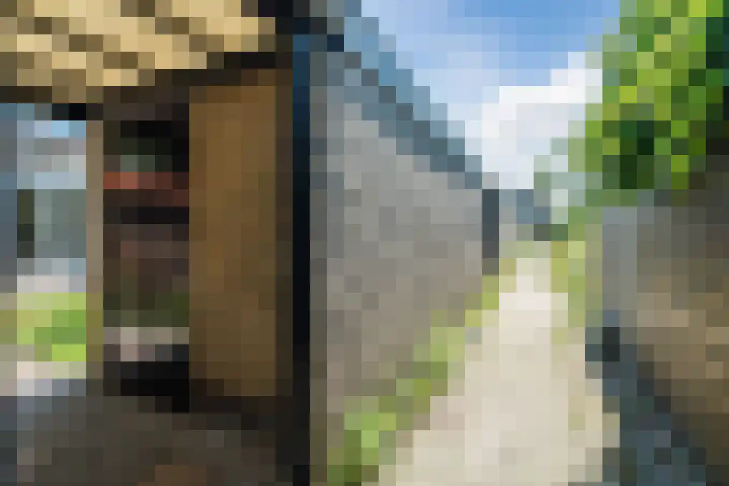 Sjanghaidreef 5 Utrecht thumbnail 41