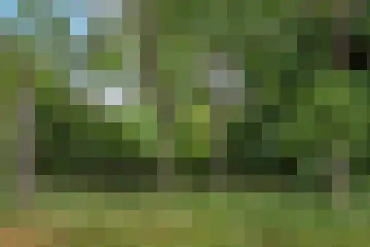Sjanghaidreef 5 Utrecht thumbnail 7