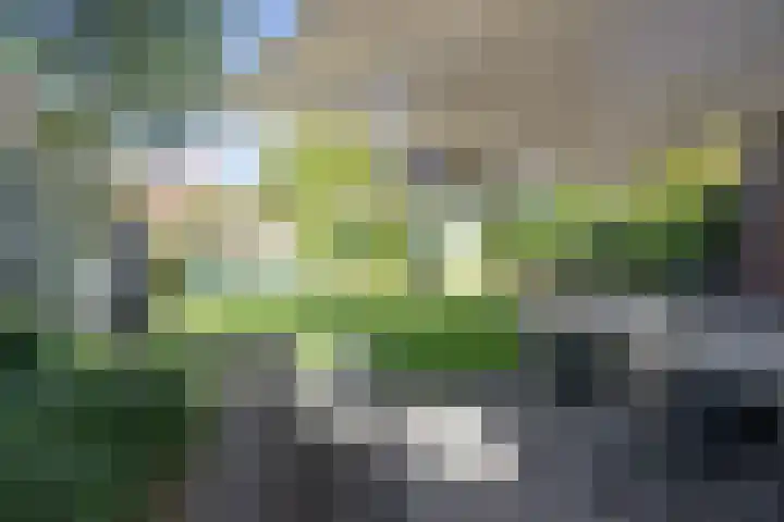 Sjean Vermeulenstraat 3 Rijen thumbnail 17