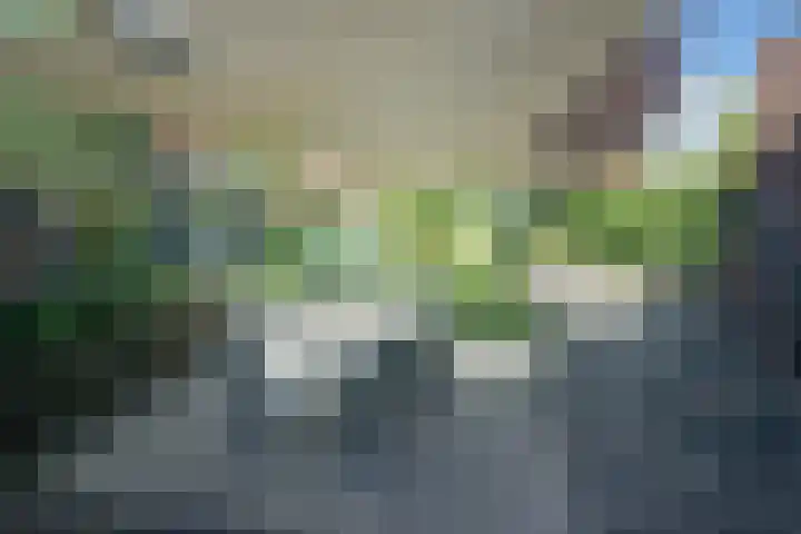 Sjean Vermeulenstraat 3 Rijen thumbnail 18