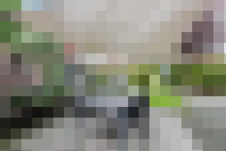 Sjean Vermeulenstraat 3 Rijen thumbnail 19