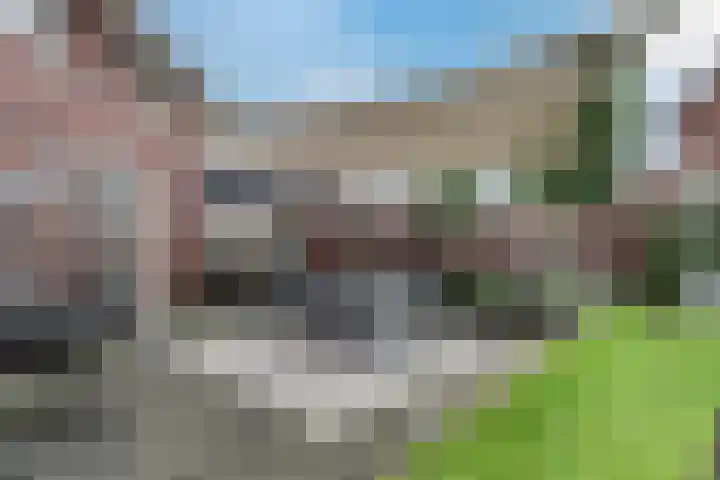 Sjean Vermeulenstraat 3 Rijen thumbnail 23