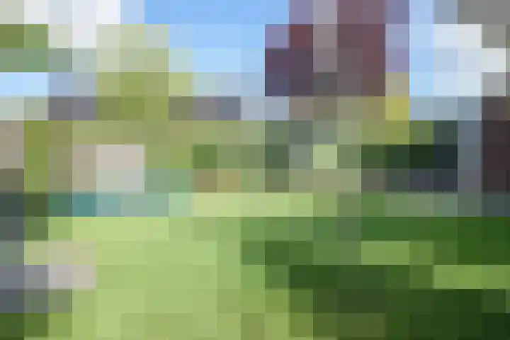 Sjean Vermeulenstraat 3 Rijen thumbnail 25