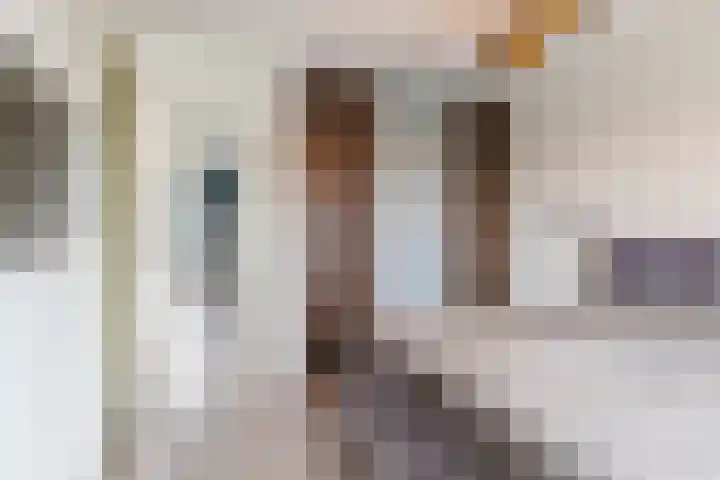 Sjean Vermeulenstraat 3 Rijen thumbnail 31